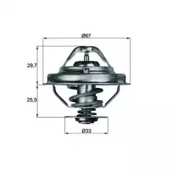 MAHLE Termostat TX3880D