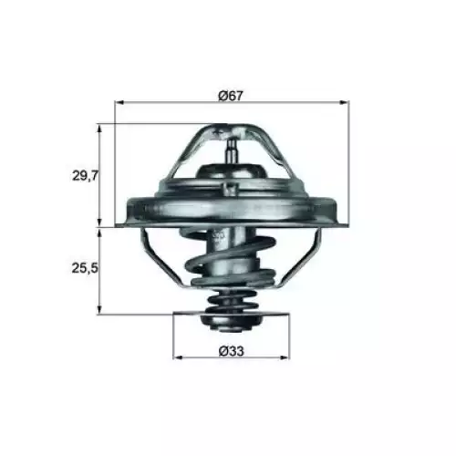 MAHLE Termostat TX3880D