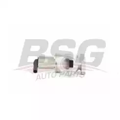 BSG Egr Valfi 40-836-001