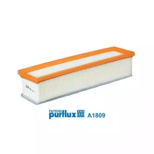 PURFLUX Hava Filtre A1809