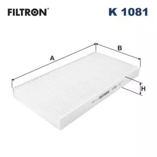 FILTRON Polen Filtre K1081