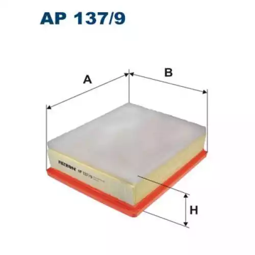 FILTRON Hava Filtre AP137/9