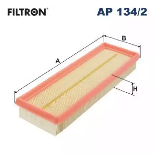 FILTRON Hava Filtre AP134/2