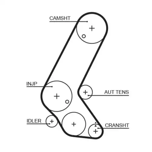 GATES Eksantrik Triger Kayışı 129-250 5595XS