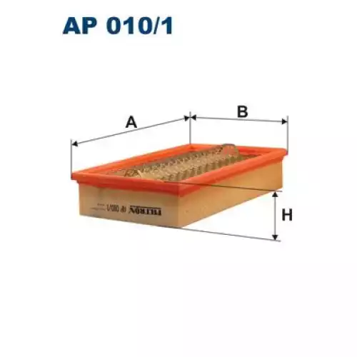 FILTRON Hava Filtre AP010/1