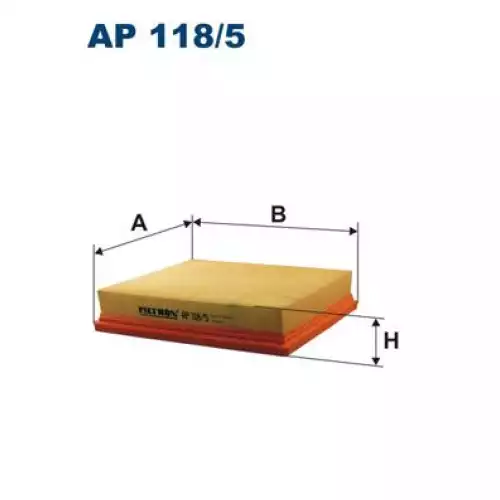 FILTRON Hava Filtre AP118/5