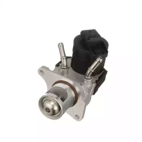 DELPHI Egr Valfi EG10468-12B1