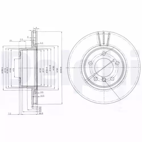 DELPHI Ön Fren Diski 310Mm BG3870