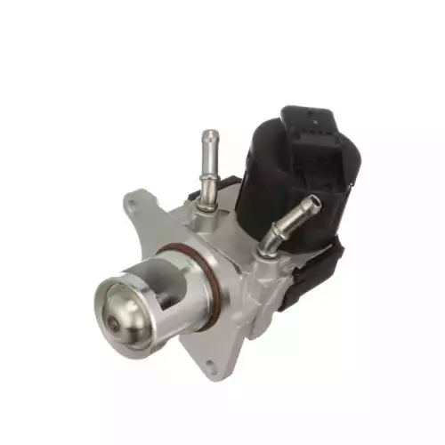 DELPHI Egr Valfi EG10468-12B1