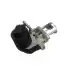 DELPHI Egr Valfi EG10468-12B1