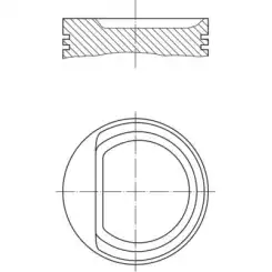 MAHLE Piston+Segman 72.00Mm Std 010 29 00