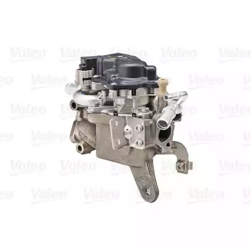 VALEO Egr Valfi (Komlpe) 700456