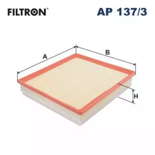 FILTRON Hava Filtre AP137/3