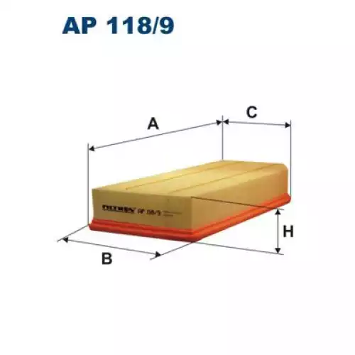 FILTRON Hava Filtre AP118/9