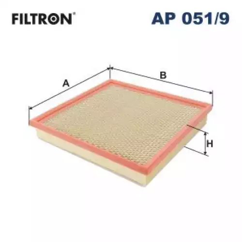 FILTRON Hava Filtre AP051/9