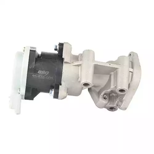 BSG Egr Valfi Sol 15-836-001