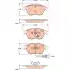 TRW Ön Fren Balatası GDB1807