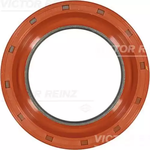 VICTOR REINZ Krank Ön Keçe 81-37601-00