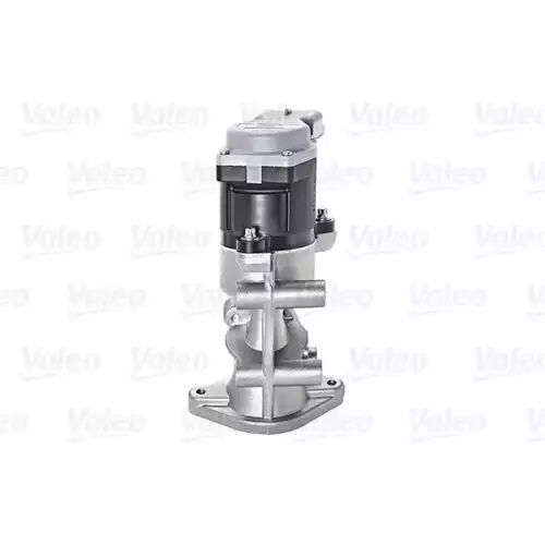 VALEO Egr Valfi Sağ 700423