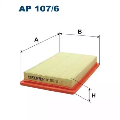 FILTRON Hava Filtre AP107/6