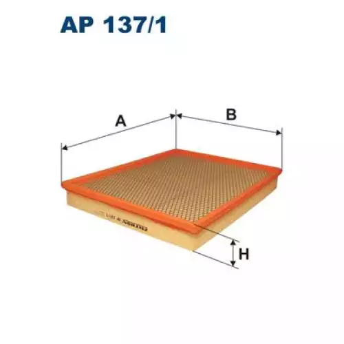 FILTRON Hava Filtre AP137/1