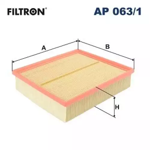 FILTRON Hava Filtre AP063/1