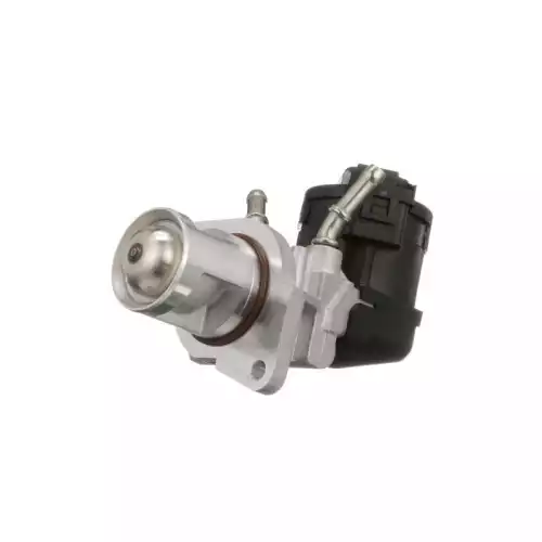 DELPHI Egr Valfi EG10468-12B1