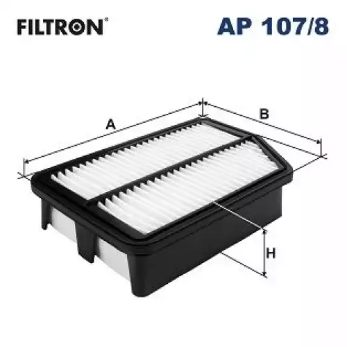 FILTRON Hava Filtre AP107/8