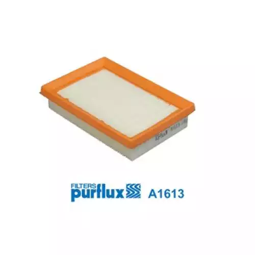 PURFLUX Hava Filtre A1613