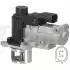 DELPHI Egr Valfi EG10471-12B1