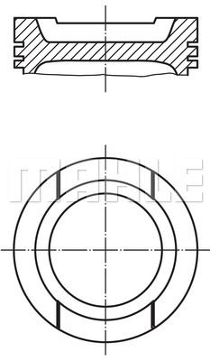 MAHLE Piston+Segman Std 81.01Mm