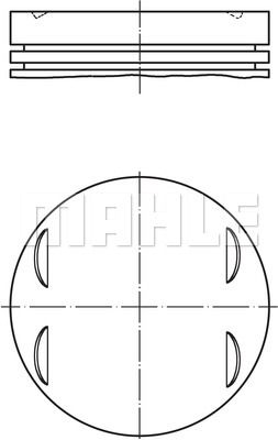 MAHLE Piston+Segman Std