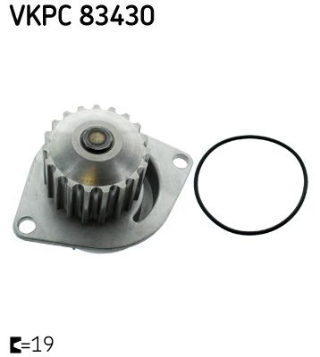 SKF Devirdiam Su Pompası