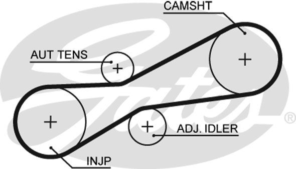 GATES Eksantrik Triger Kayışı 81 Diş Pompa Kayışı