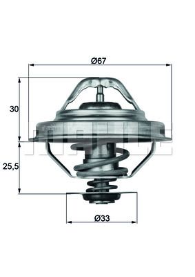 MAHLE Termostat TX2888D