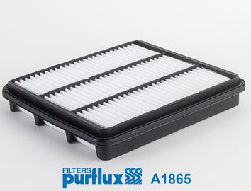 PURFLUX Hava Filtre