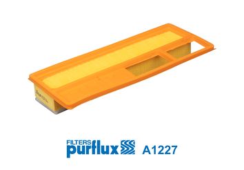 PURFLUX Hava Filtre