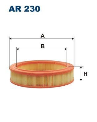 FILTRON Hava Filtre