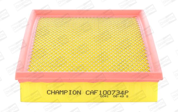 CHAMPION Hava Filtre