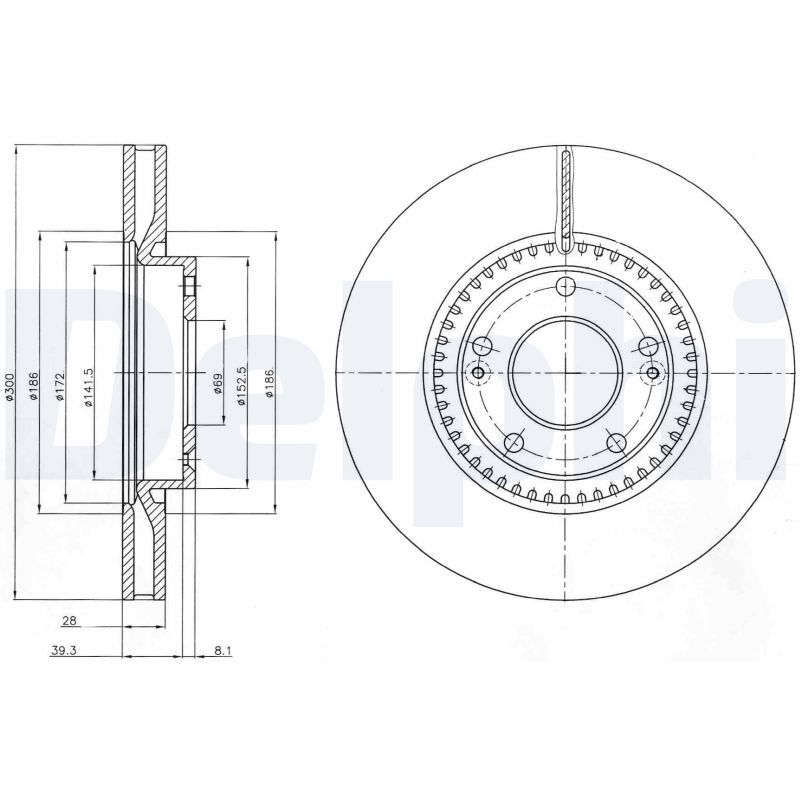 DELPHI Ön Fren Diski Havalı 300 5