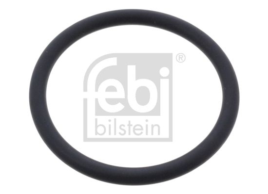 FEBI BILSTEIN Devirdaim Su Pompa Lastiği