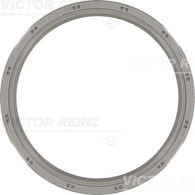 VICTOR REINZ Krank Arka Keçe 86X100X10