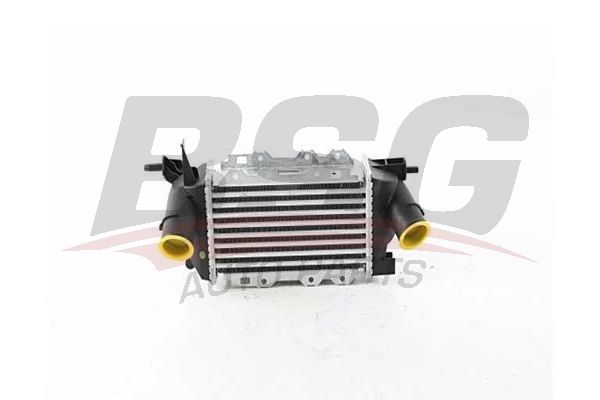 BSG Turbo İntercool radyatörü