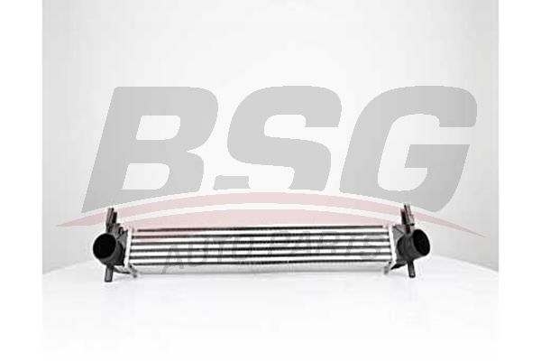 BSG Turbo İntercool radyatörü